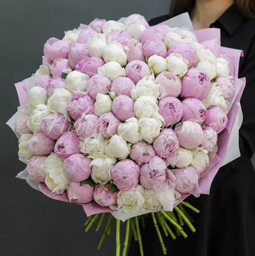 ПИОНЫ Букет 101 пион микс