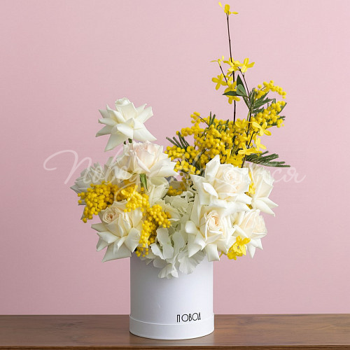 8.03 Чистое небо