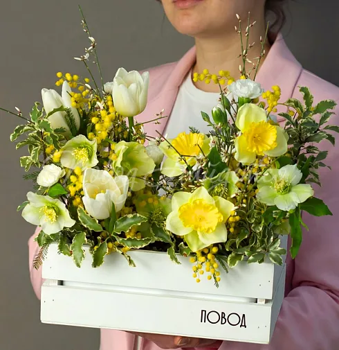 Корпоративный 055