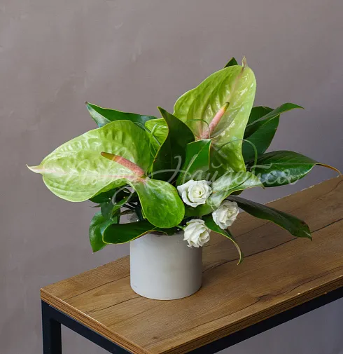 Цветочная композиция Композиция №117 — Повод Найдется