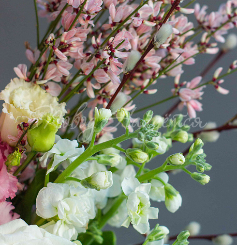 Новая весна