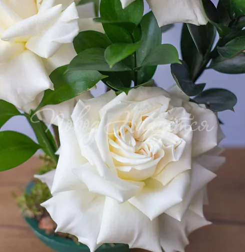 Цветочная композиция Композиция №125 — Повод Найдется