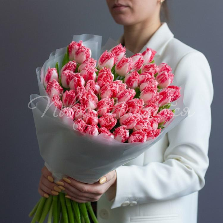 8.03 Ты-моя нежность