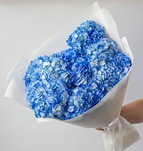 ГОРТЕНЗИИ Букет Морской лев