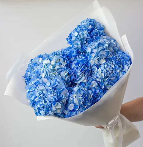 Букет Морской лев — Повод Найдется