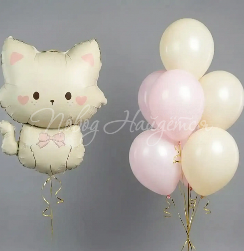 Облако шаров "Милой кошечке"