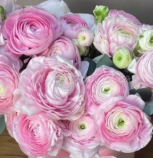 Корзина Трогательный момент — Повод Найдется