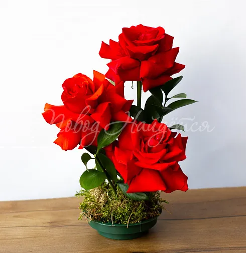 Цветочная композиция Композиция №149 — Повод Найдется