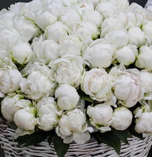 Букет Моя Венеция — Повод Найдется