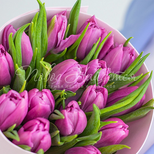 Букет Корпоративный 37