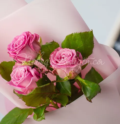 Букет 3 розы с бесплатной доставкой — Повод Найдется