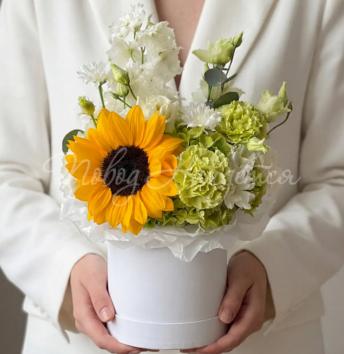 Букет Мое солнце — Повод Найдется