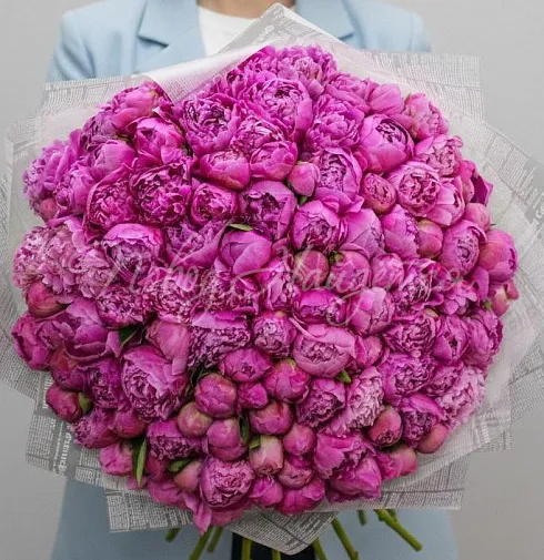 Букет Сумасшедший взгляд — Повод Найдется