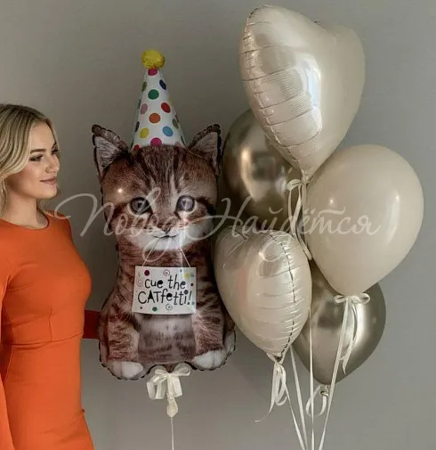Шары Облако шаров" Котик Мур" — Повод Найдется