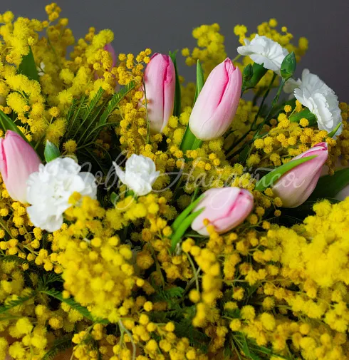 Корпоративный 058