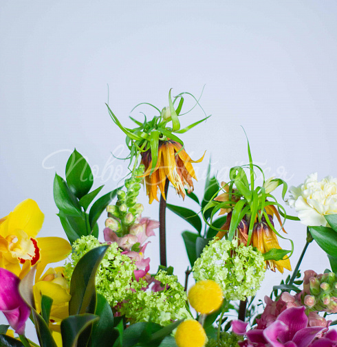 Букет Тропические Джунгли — Повод Найдется