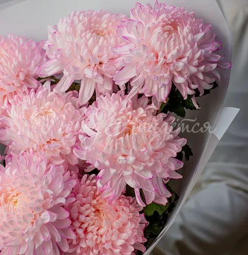 Букет Тепло в руках — Повод Найдется