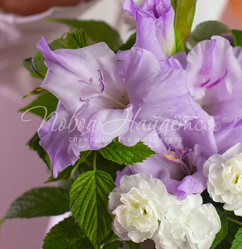 Букет Олимпия — Повод Найдется