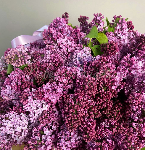 Букет В саду сирени — Повод Найдется