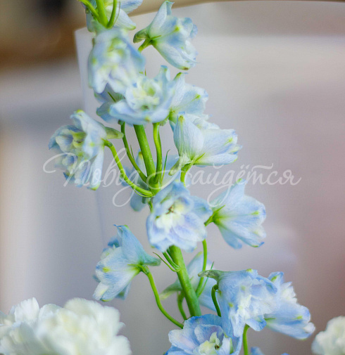 Снег в океане