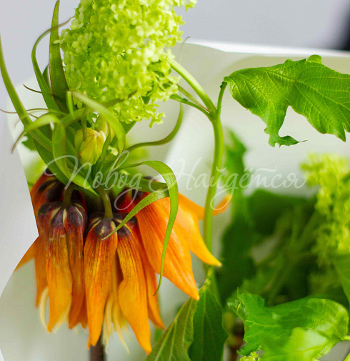 Букет Выстрел Эндорфинов — Повод Найдется