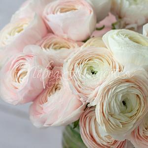 РАНУНКУЛЮСЫ Букет Только с тобой