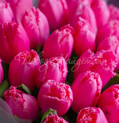 Букет Сказочная красота — Повод Найдется