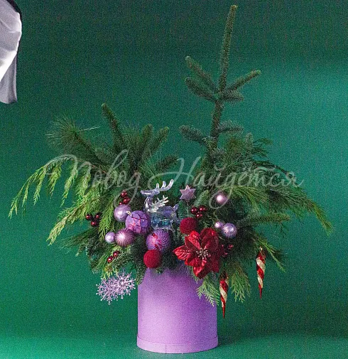 Заметает зима