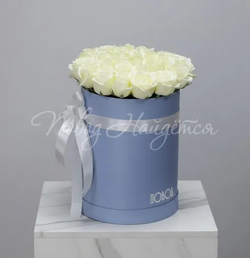 Корзина Между небом и землей — Повод Найдется