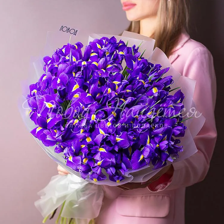 Букет коллеге Букет 45 ирисов