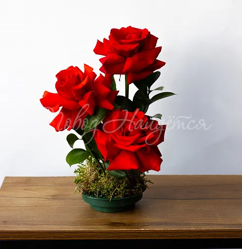 Цветочная композиция Композиция №149 — Повод Найдется