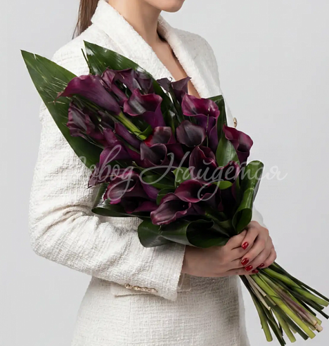 Мужской букет Букет Дерзкий