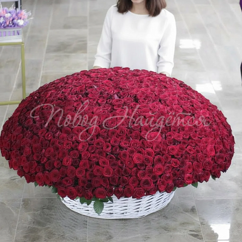 1001 роза Букет 1001 роза в корзине