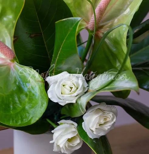 Цветочная композиция Композиция №117 — Повод Найдется