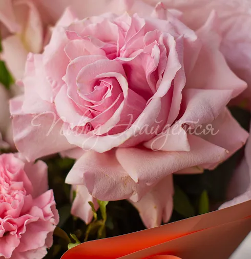 Букет Косички — Повод Найдется