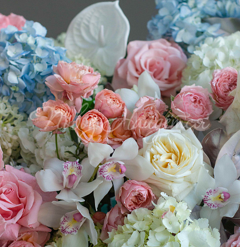 Корзина Карибское море — Повод Найдется