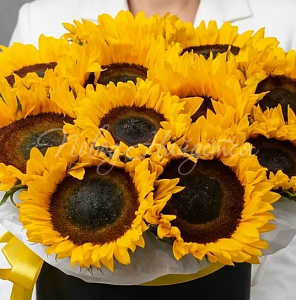 ПОДСОЛНУХИ Букет Восход