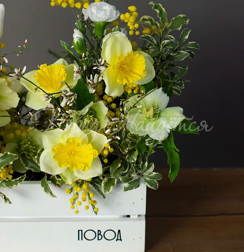 Букет Первые подснежники — Повод Найдется