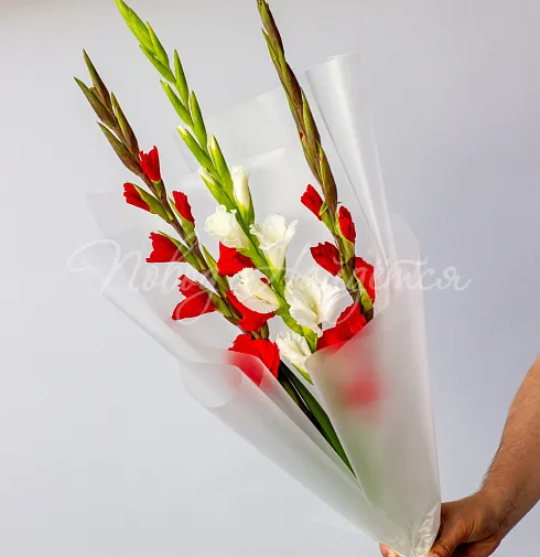 Букет Зарра — Повод Найдется