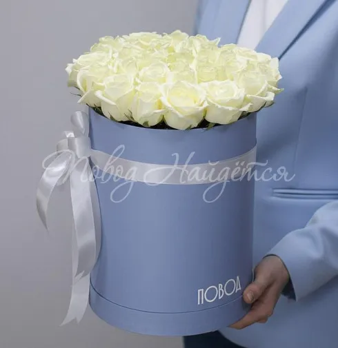 Корзина Между небом и землей — Повод Найдется