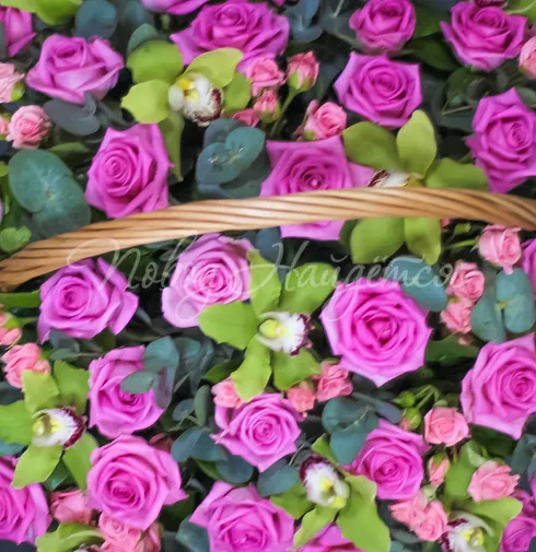 Корзина Тосса-де-Мар — Повод Найдется