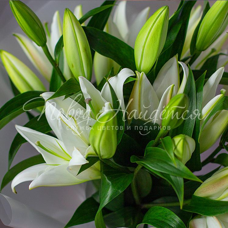 Букет 11 лилий