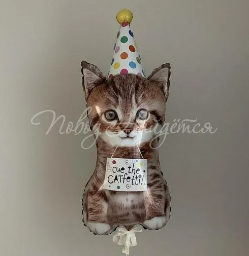 Шары Облако шаров" Котик Мур" — Повод Найдется