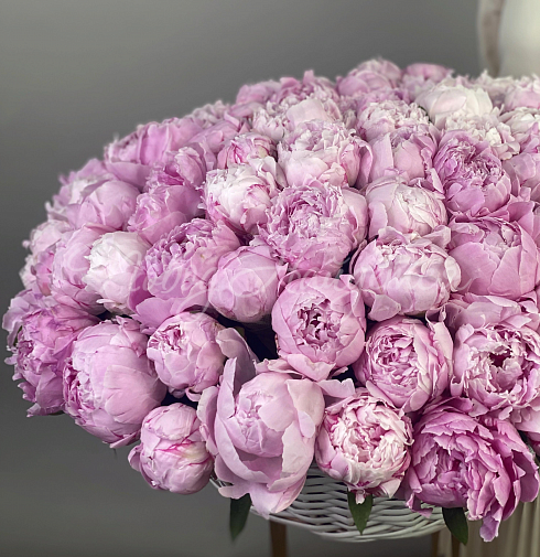 Букет 101 пион — Повод Найдется