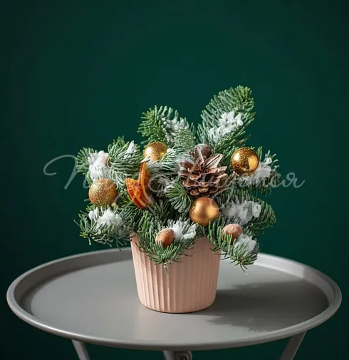 Новый год 23