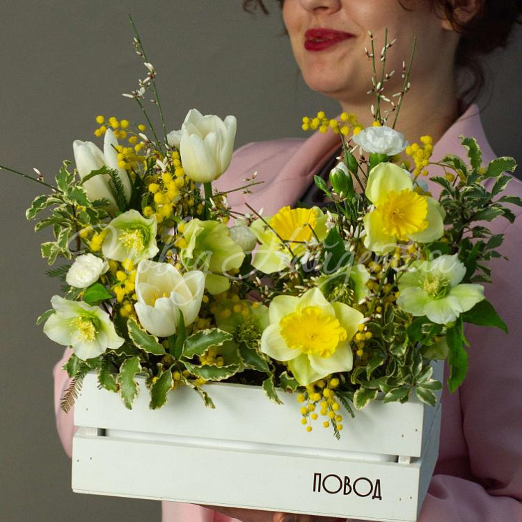 8.03 Первые подснежники