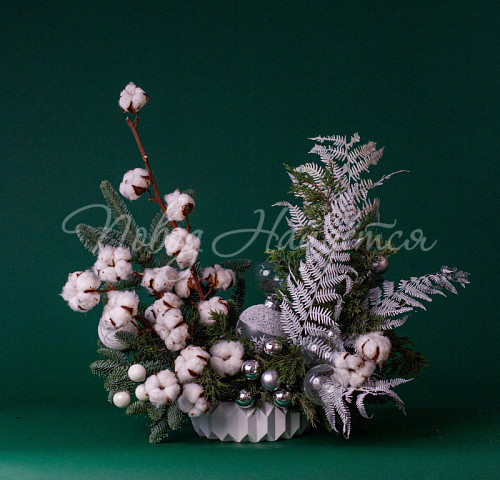 Зимние грезы