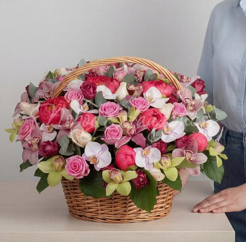 Корзины с орхидеями Корзина Манхеттен