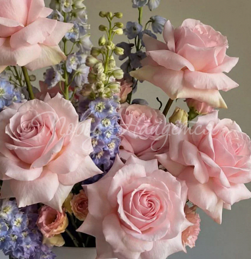 Корзина Монамур — Повод Найдется