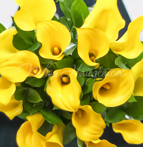 Букет Пальме-де-Майорка — Повод Найдется